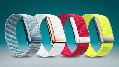 The Whoop 4.0 fitness tracker, shown in four different color options - blue, white, pink and neon yellow