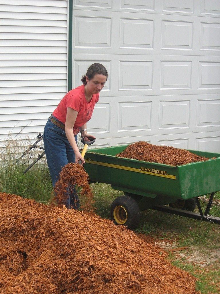 Person Shoveling Hemlock Mulch Into John Deere Trailer