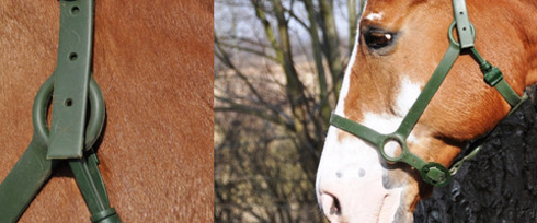 Charlies Safety Halter