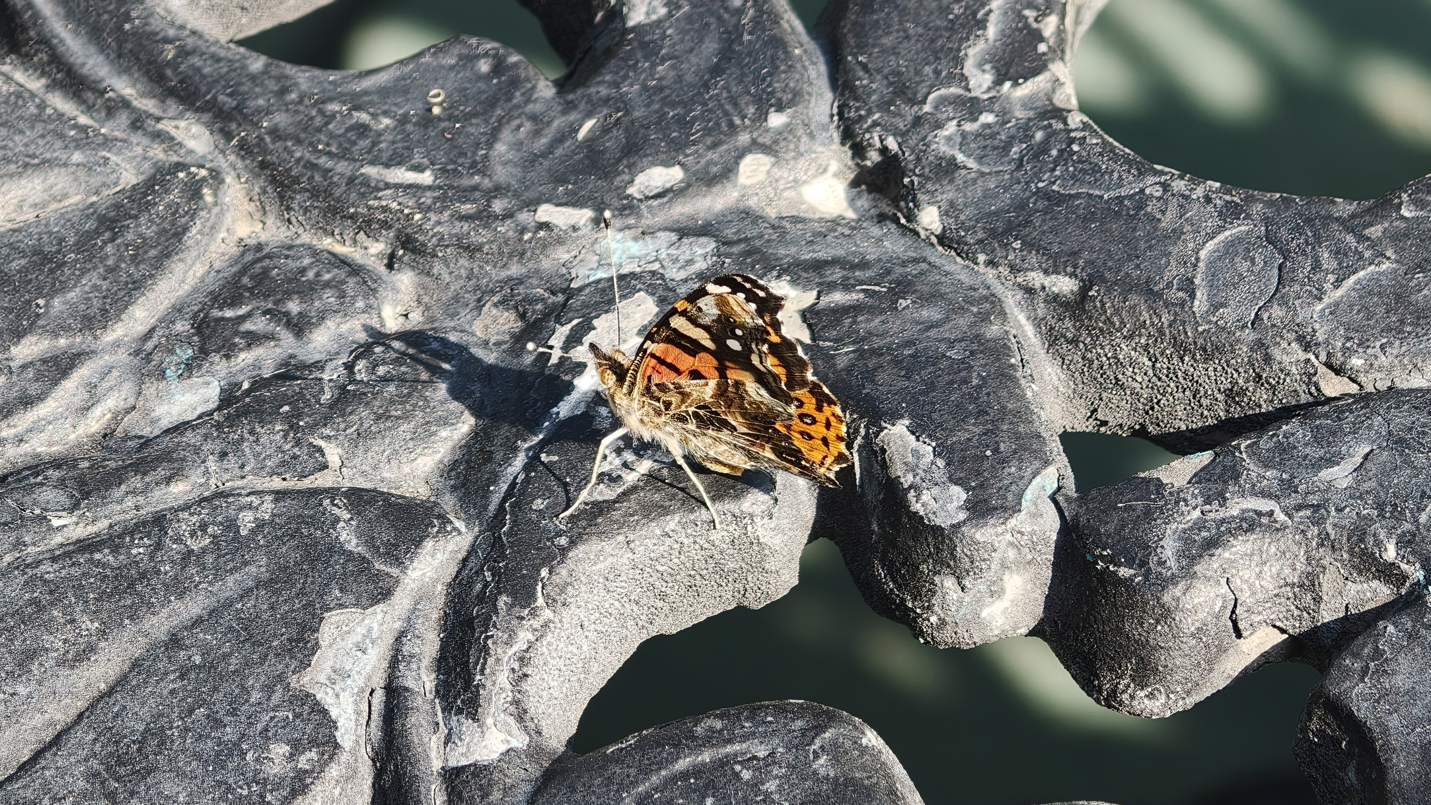 Oppo Find X9 Pro camera review sample