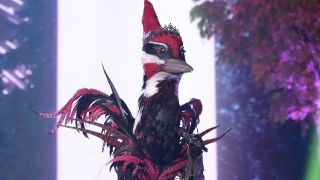 Woodpecker in The Masked Singer Season 12 Premiere