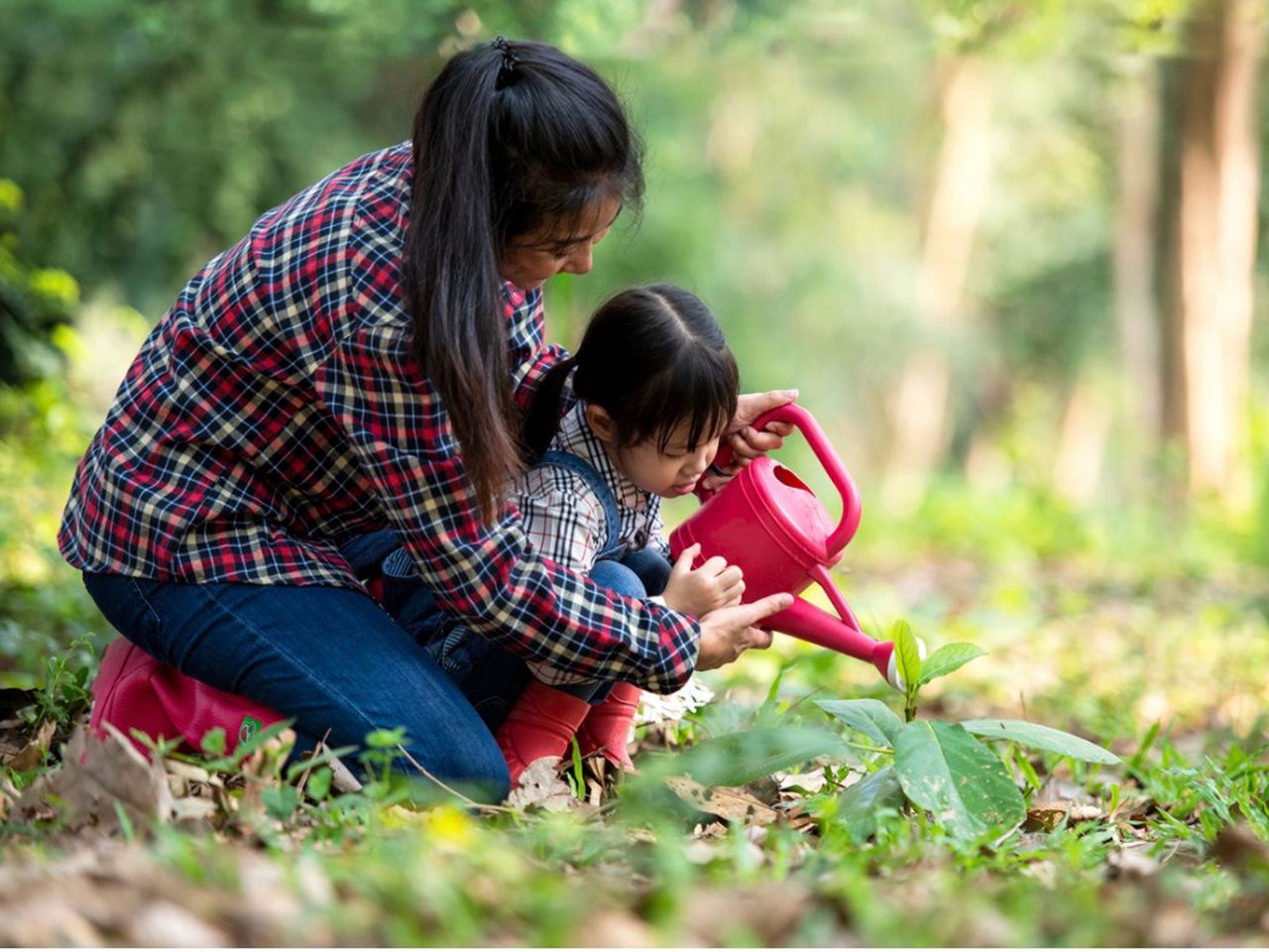 Adult And Child Watering Garden With Watering Can