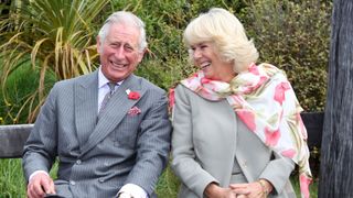 32 Interesting fact about Queen Camilla - How she met King Charles