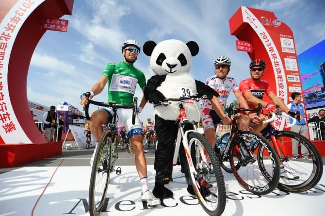 A panda poses with the race leaders