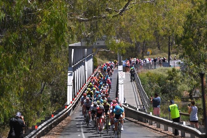 The peloton takes on the narrow bridge over the Barwon River on the Geelong finishing circuits at the Cadel Evans Great Ocean Road Race