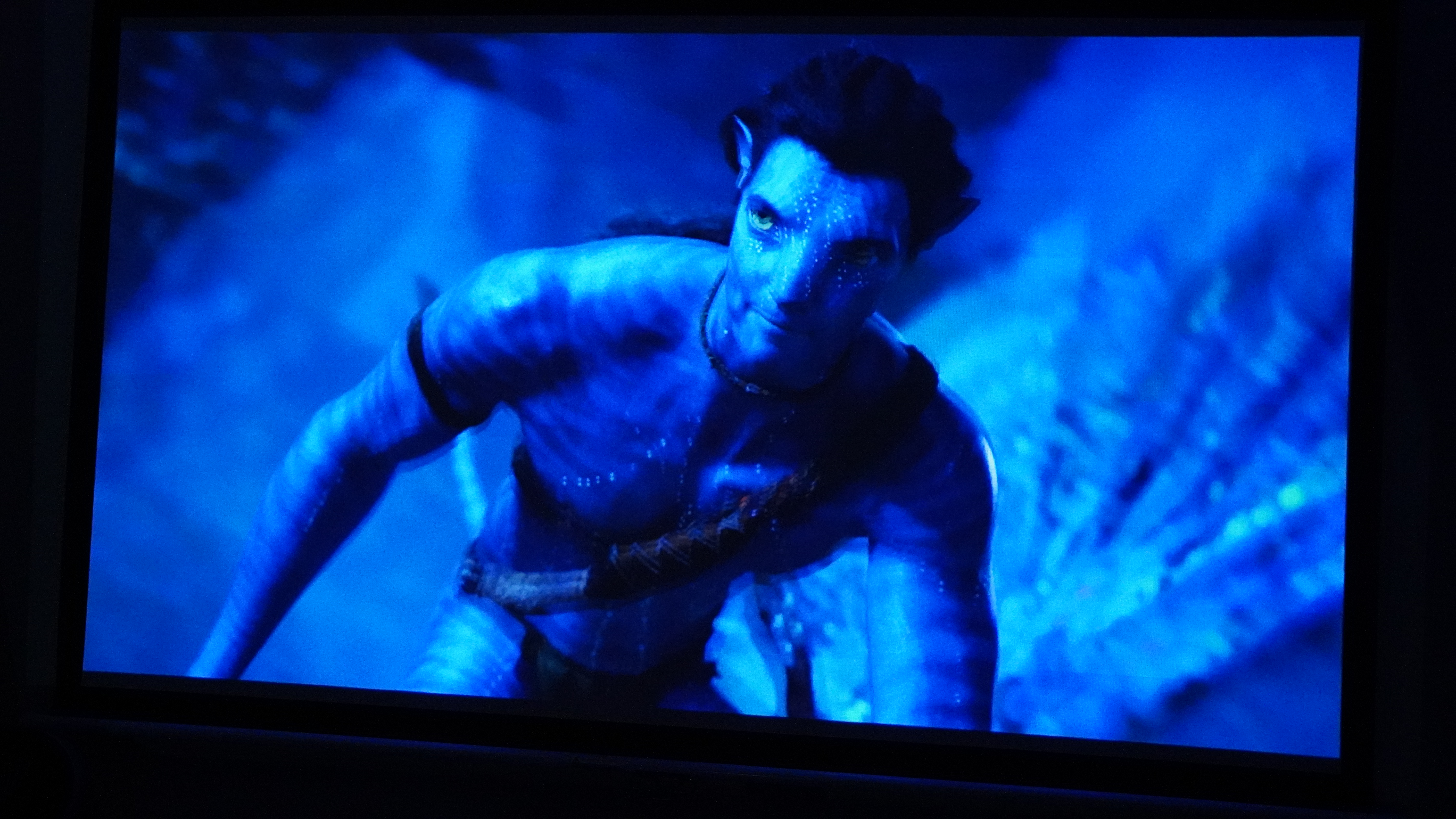 An example of the picture on the Soundcore Nebula P1 projector, showing a scene from Avatar