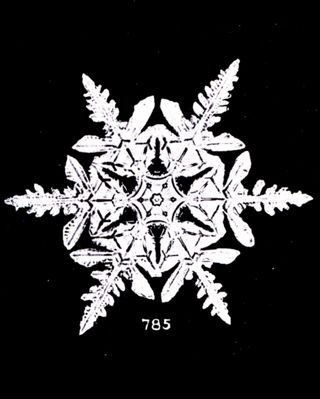 A snowflake photographed by Wilson Bentley