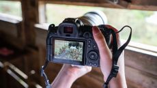 Canon EOS R6 II being used in a hide