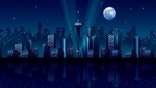 Seattle in moonlight