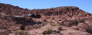 The fossil site in Patagonia where the new dinosaur was discovered.
