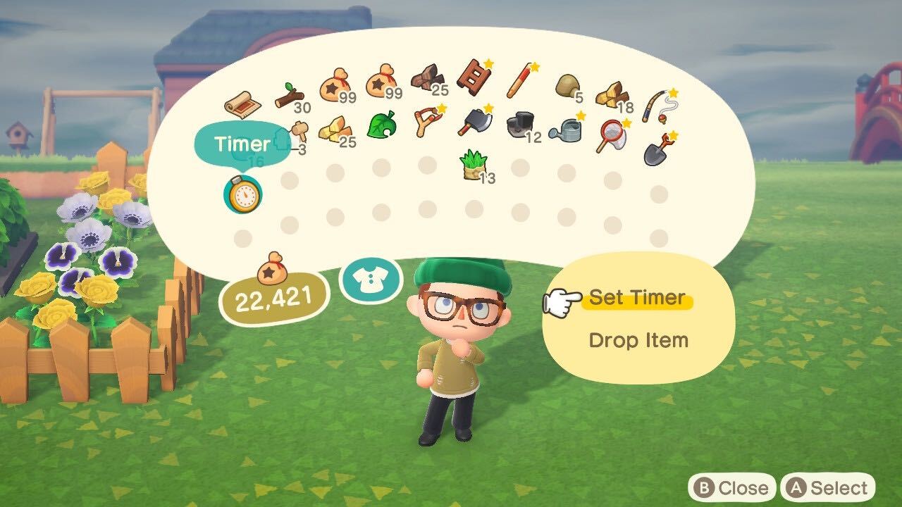 Animal Crossing: New Horizons