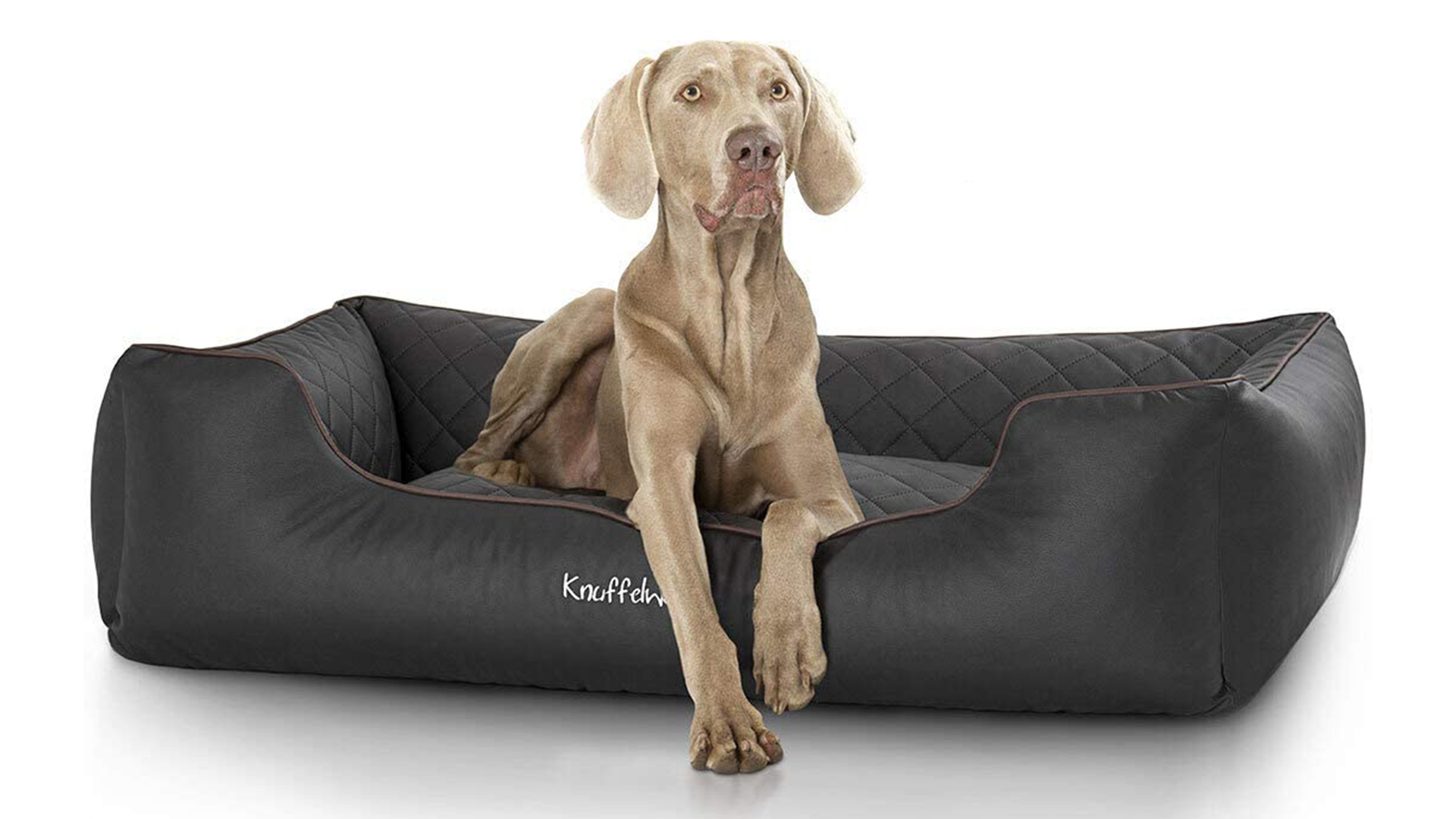 casper dog bed cleaning