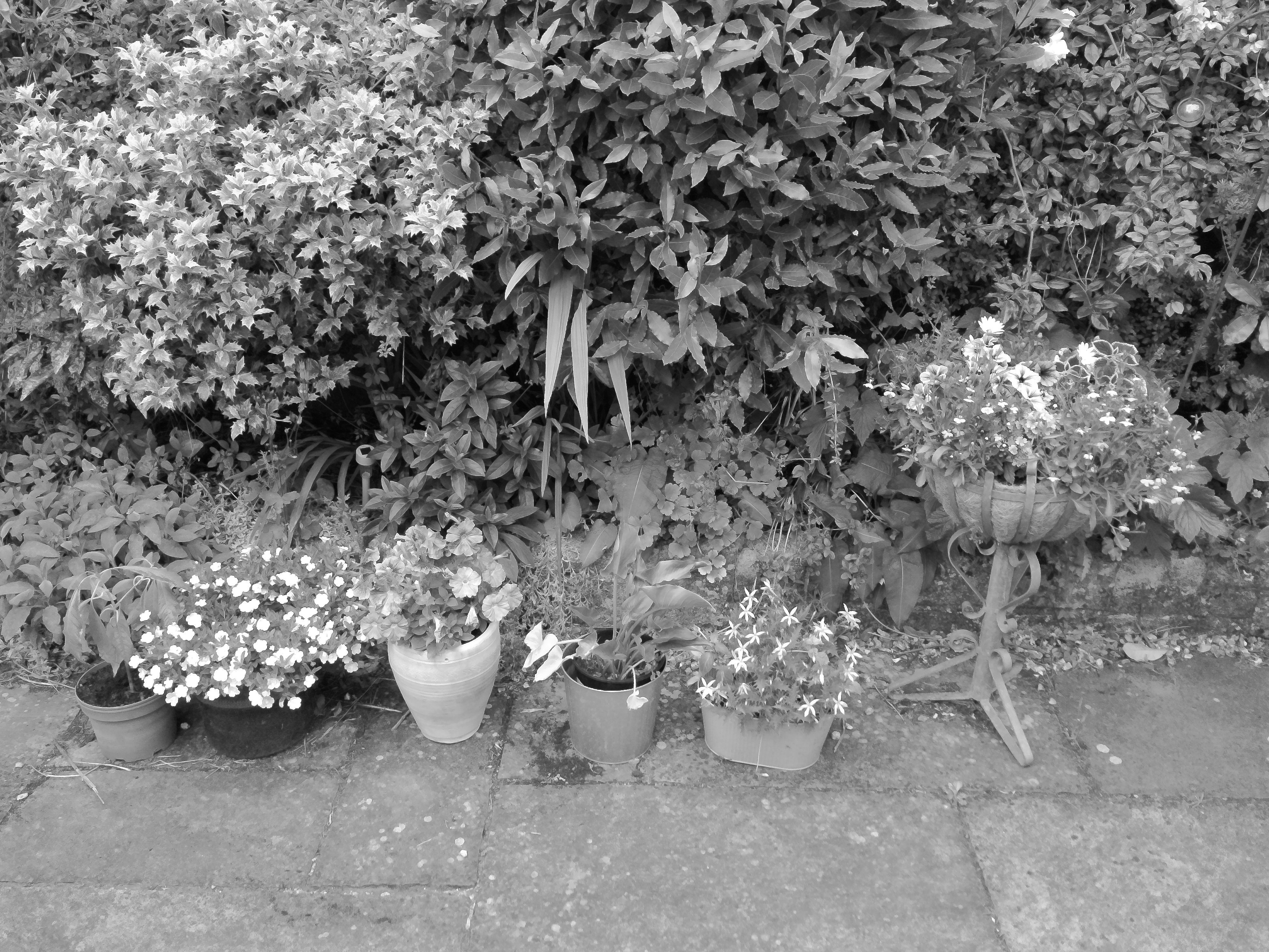 Yashica FX-D 300 example shot - film simulations