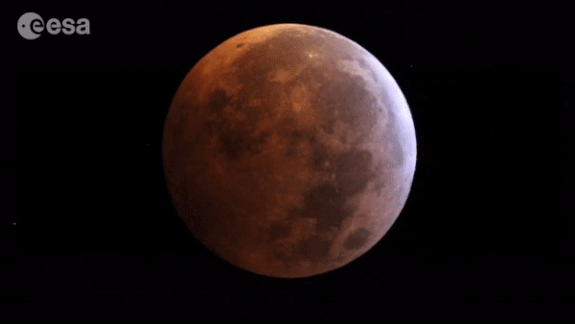 During the total lunar eclipse on Monday (Jan. 21), the moon temporarily blocked our view of the star HIP 39749, located almost 6,000 light-years away in the Cancer constellation. In this animated timelapse, you can see the star emerging from the bottom of the moon after this stellar occultation. Astronomers at the European Space Astronomy Center in Spain recorded the event using an 8-inch (20-centimeter) reflector scope.