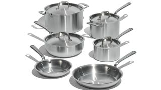 Made In 10-piece Stainless Steel Pan Set