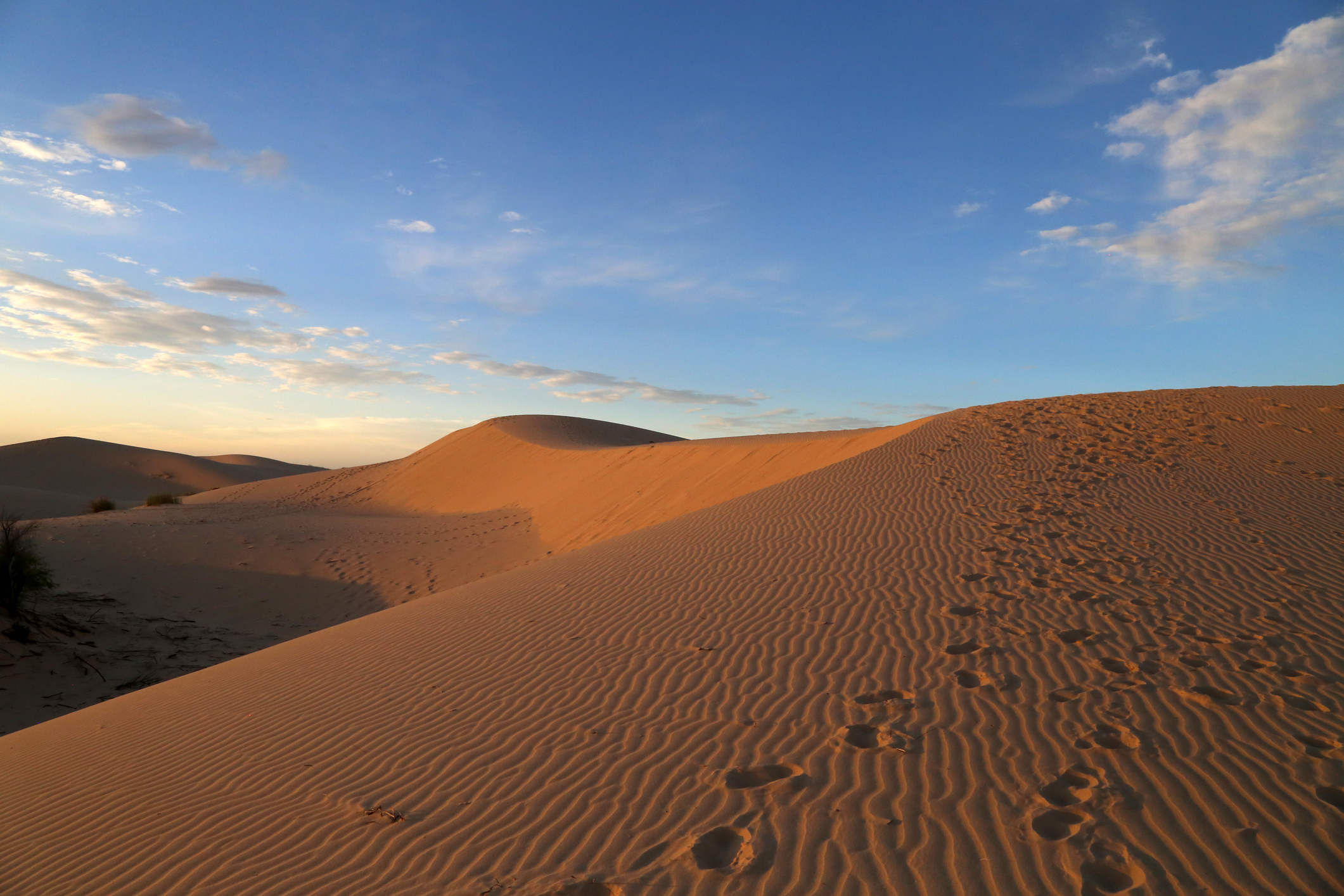 Sunset sand dune at the Monahans Sandhills State Park in Texas