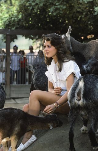 underrated 80s brooke shields