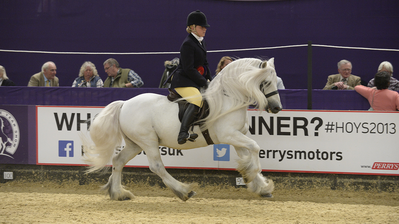 Murthwaite-Windrush-HorseNo615_HOYS13pn2586.jpg
