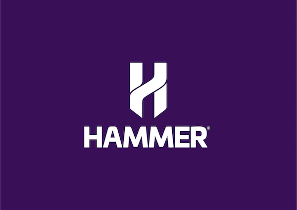 The Hammer Series logo