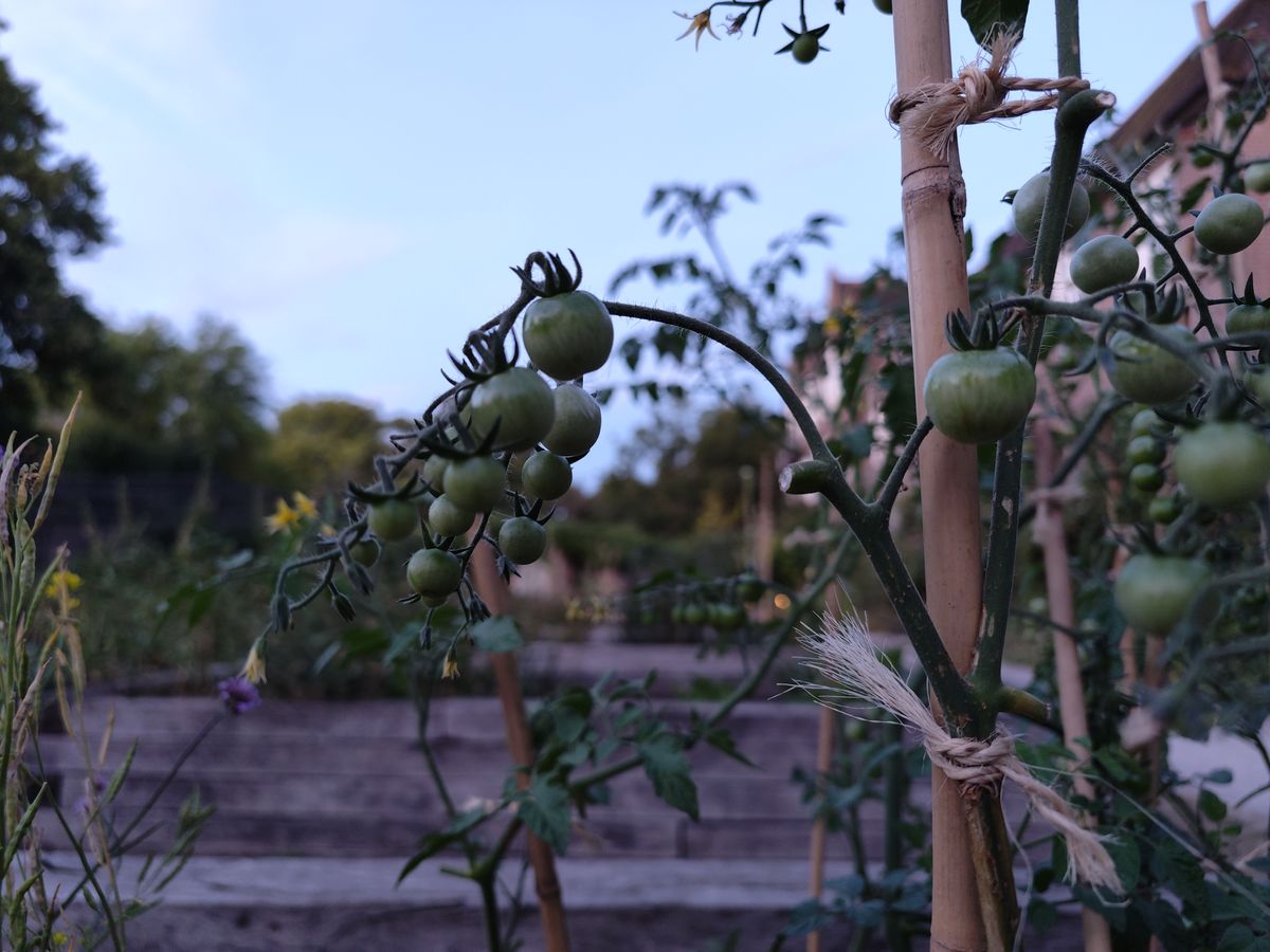 Photo taken on the Xiaomi 12s Ultra smartphone
