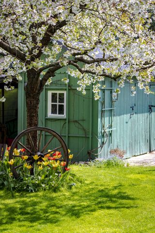 A colorful garden shed