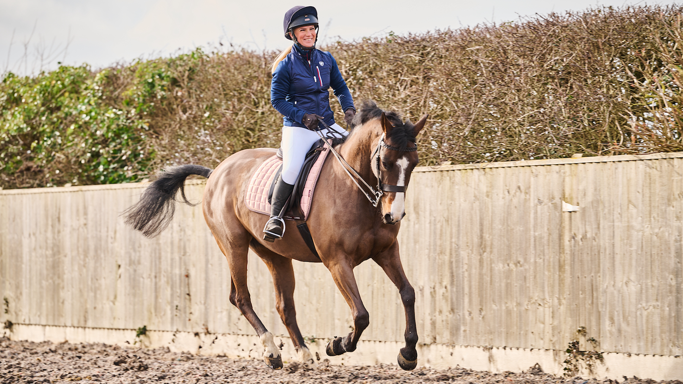 Bay horse cantering in arena