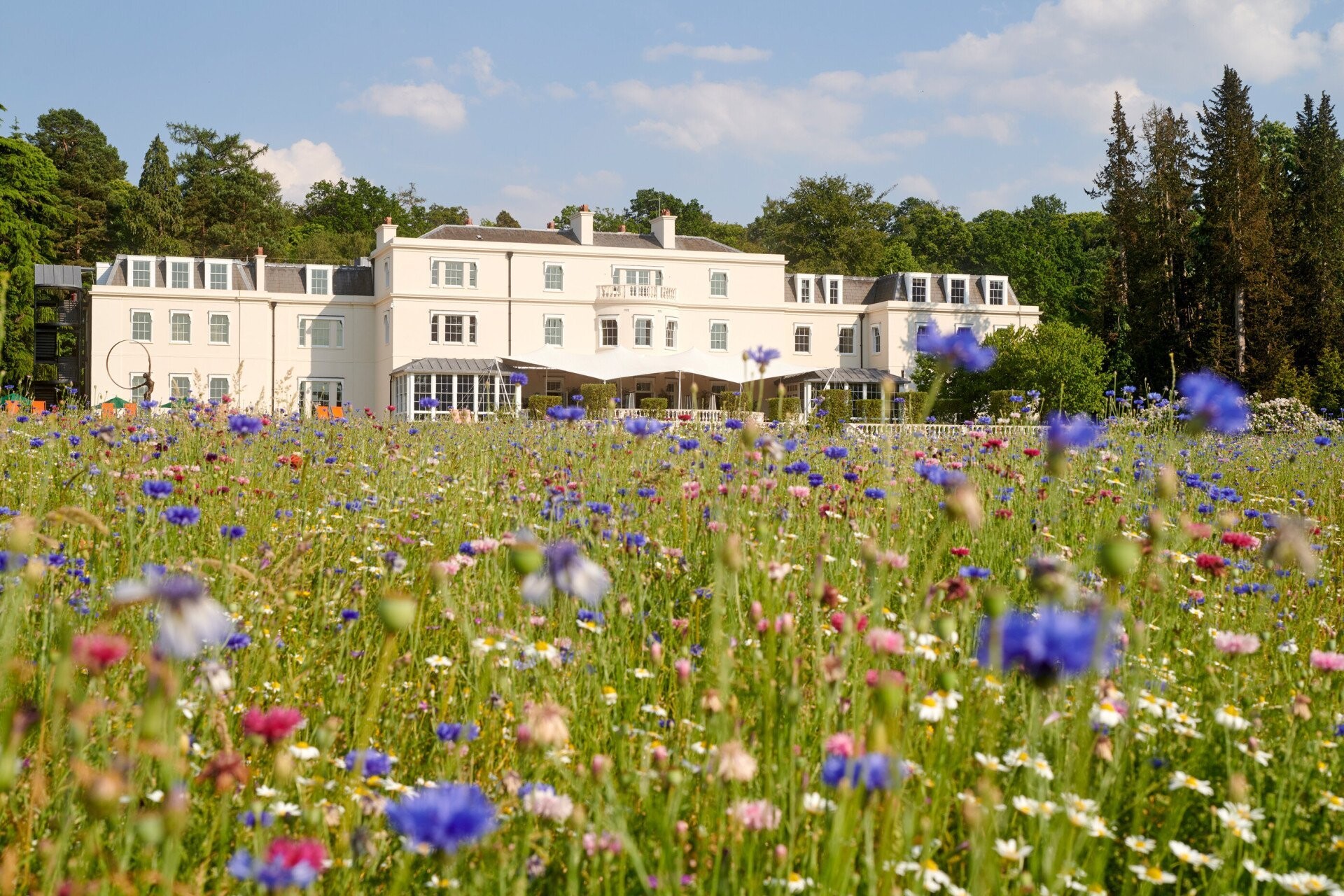 Coworth Park hotel and the flower field in front