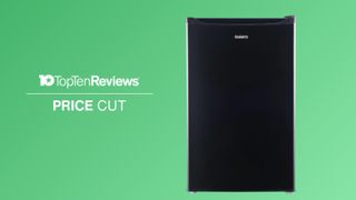 Galanz 4.3 cu ft mini fridge on green background with text: Top Ten Reviews Price Cut
