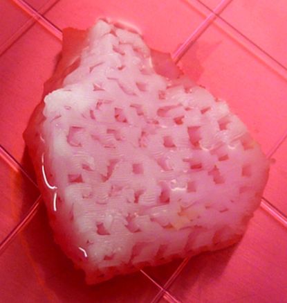 bioprinter, tissue engineering, 3d printing