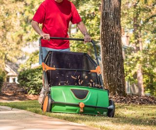 Man pushing a lawn sweeper