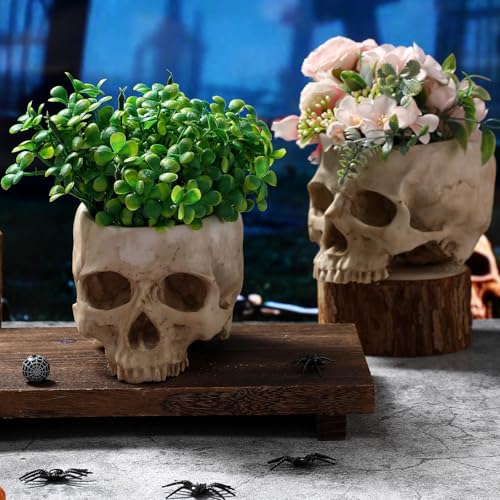 Acellegic 2 Pack Halloween Skull Planter, Beige, Vintage