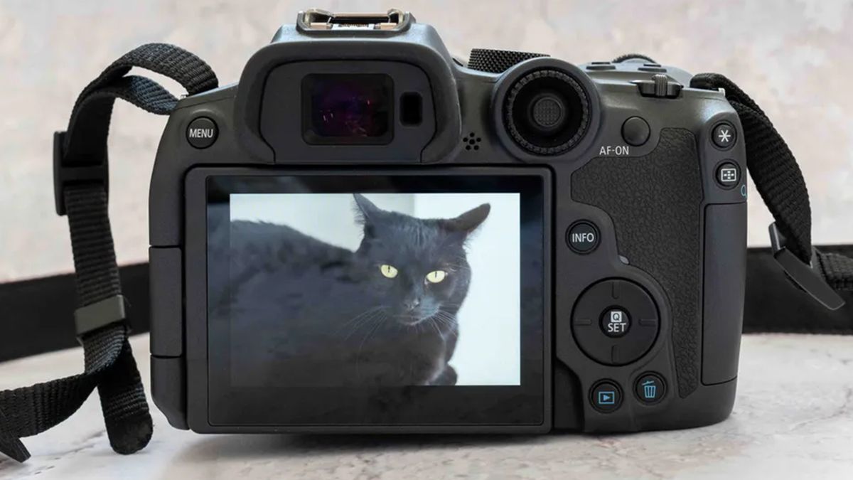 Canon EOS R7 review photo