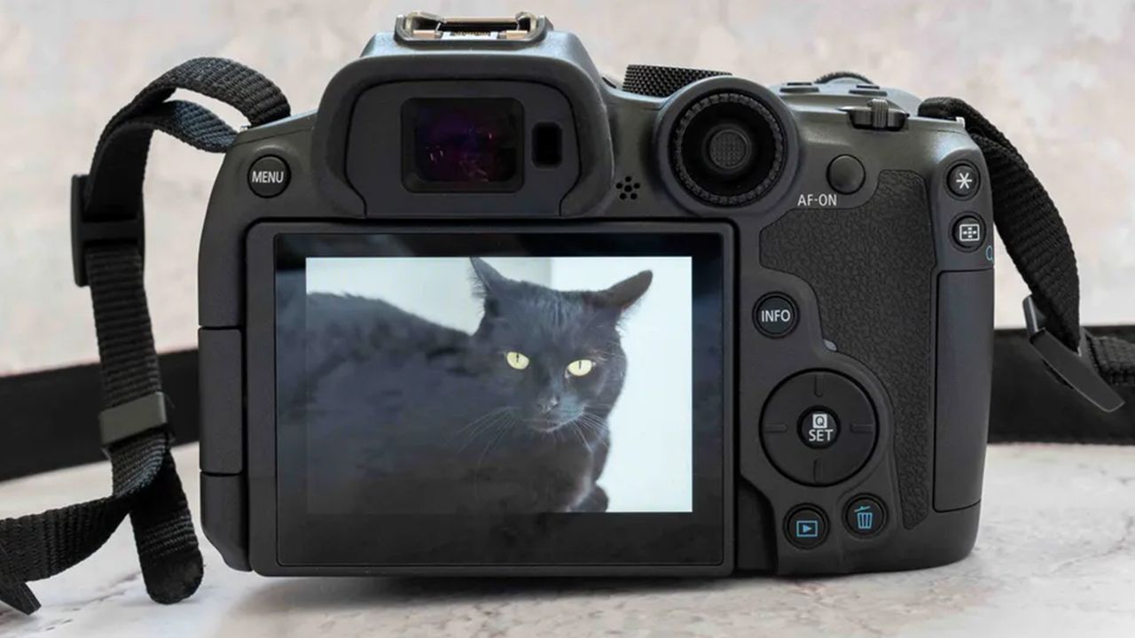 Canon EOS R7 review photo