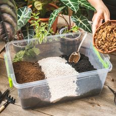 Variety of soilless potting mix ingredients in a plastic tub