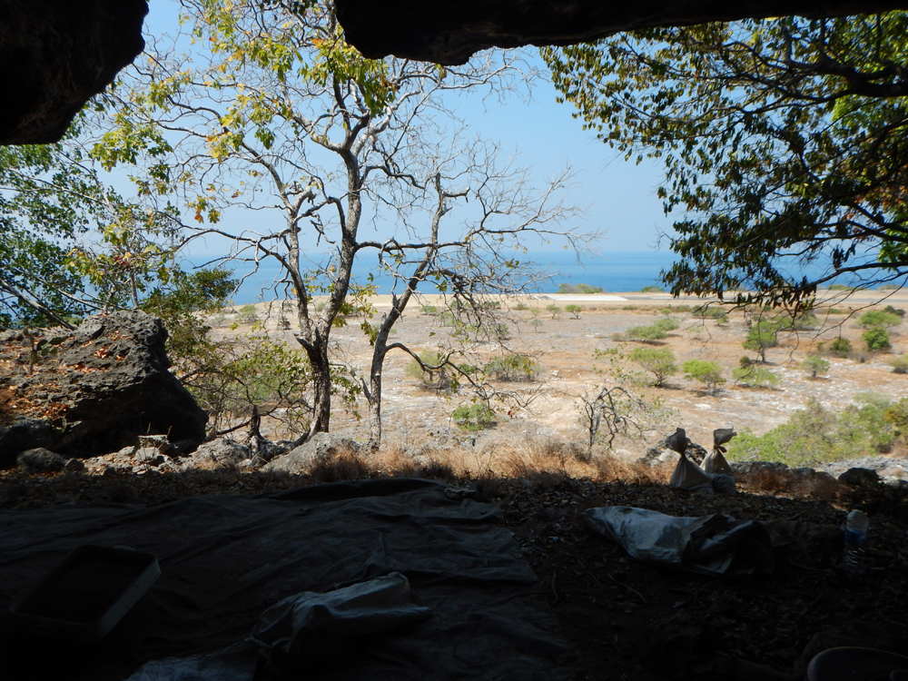 Indonesian rock paintings