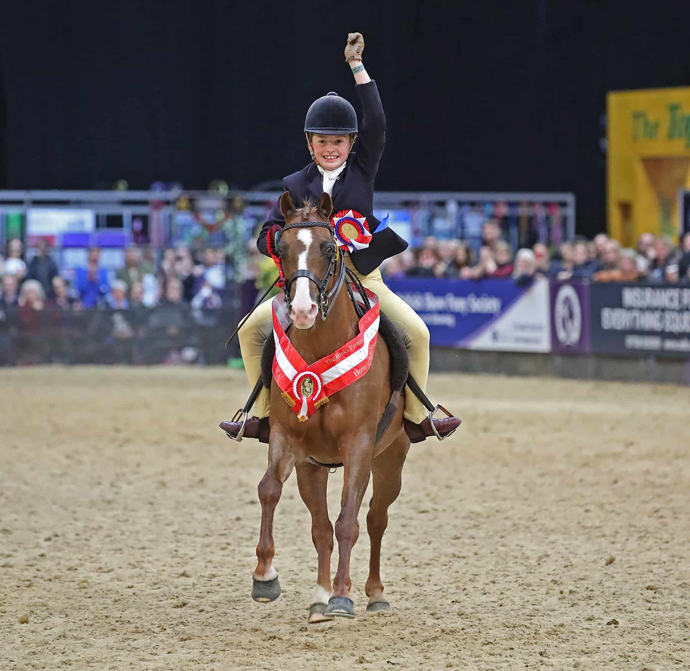 Warleigh Brushing Groom_1ST CLASS IMAGES_PM