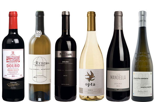 wines under 20