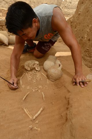 possible philistine remains