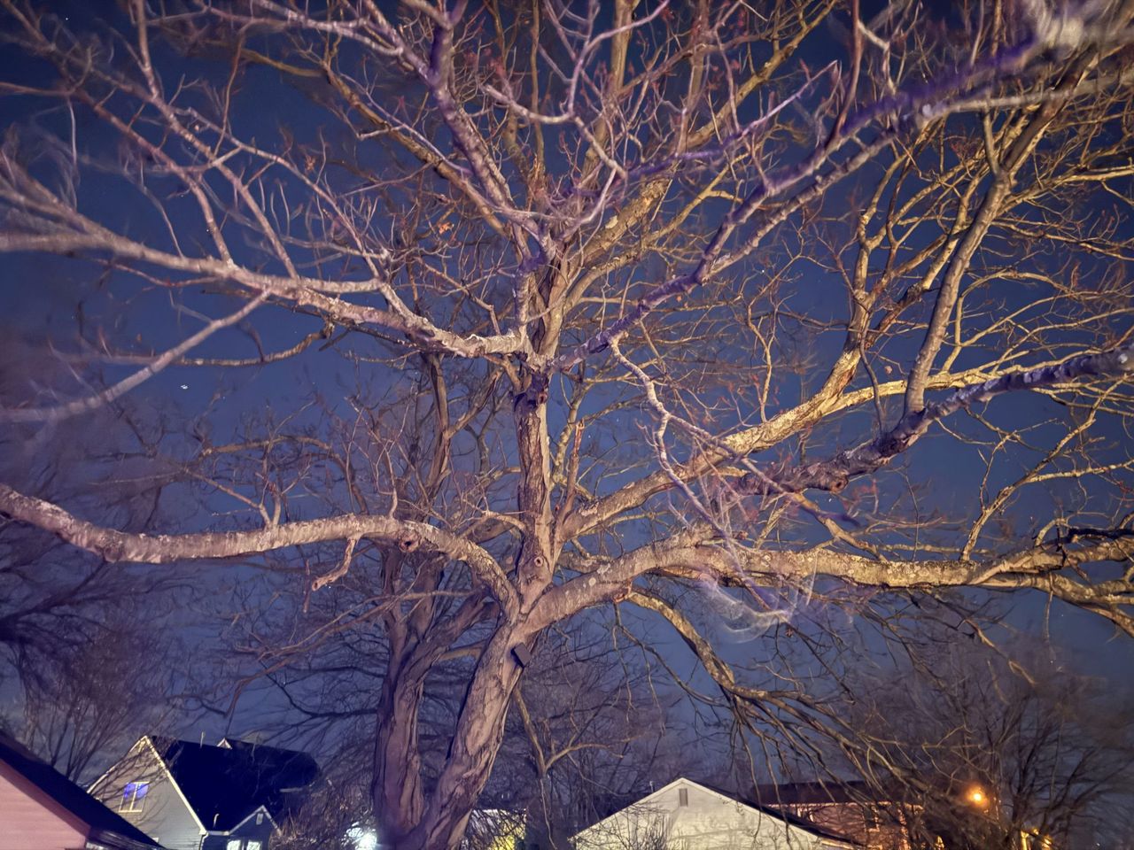Apple iPhone 16 Pro Max low light sample.