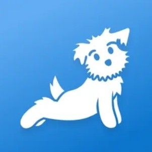 Down Dog Yoga App logo