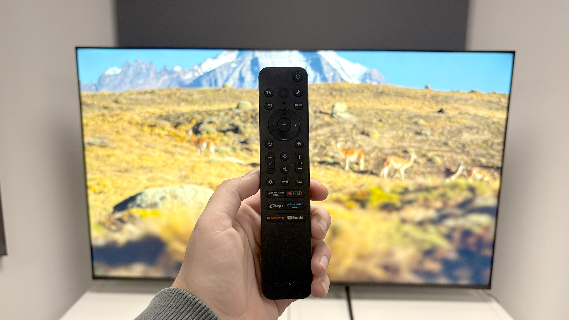 Sony Bravia 3 65-inch 4K TV with desert animals and mountain on screen, remote control held in hand in front of it