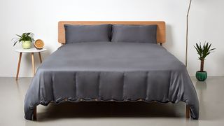 Panda bedding, mattress, pillow, mattress topper