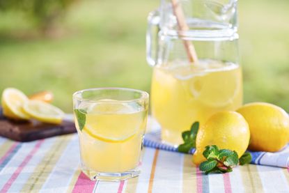 A glass of lemonade.