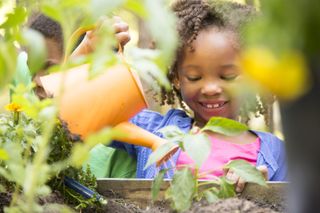 Young girl using an orange watering can to water vegetables she's growing at home