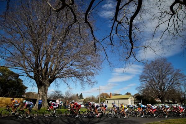 The peloton takes on the Sale criterium