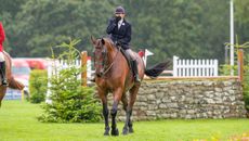 2024 RIHS supreme hunter championship