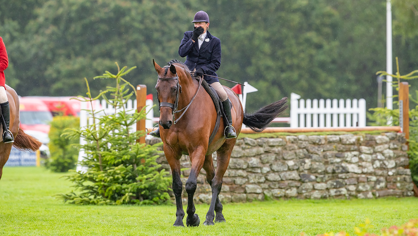 2024 RIHS supreme hunter championship