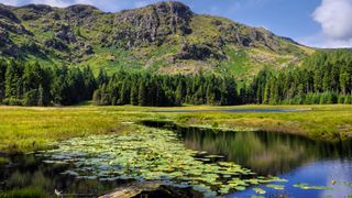 Harrop Tarn, Lake District