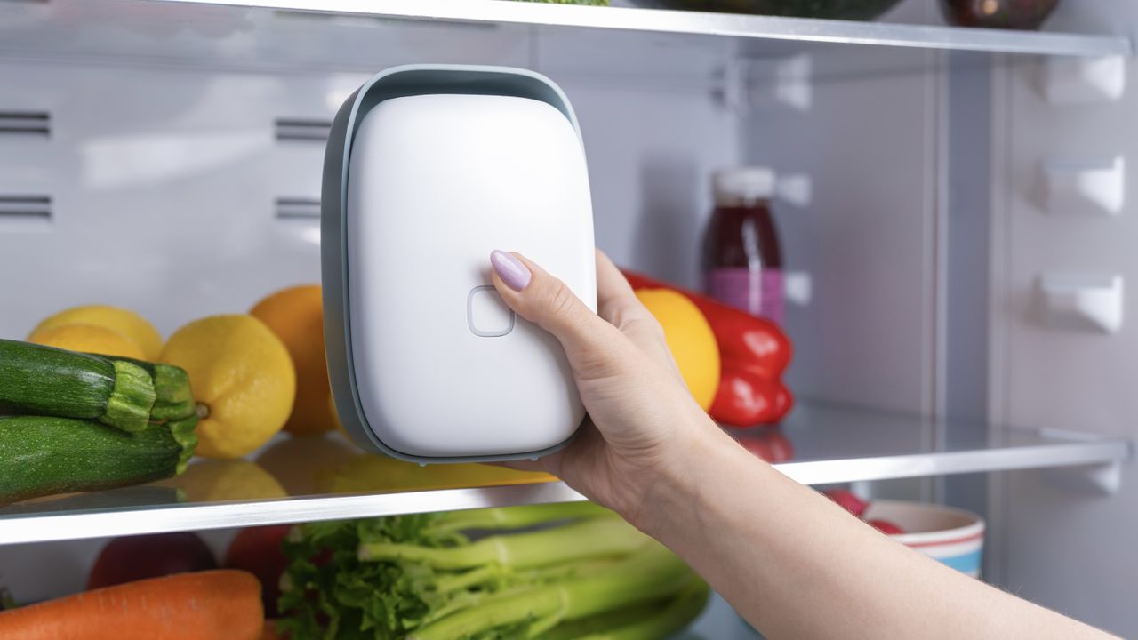 Vitesy’s upgraded Shelfy promises even fresher food and less waste