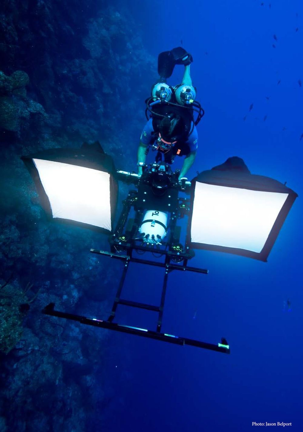 behind the scenes, bts, national science foundation, nsf, fluorescent protein, coral reef, green fluorescent protein, glowing corals, fluorescent imaging, coral reef health, new organisms, 